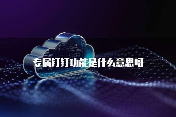 专属钉钉功能是什么意思呀