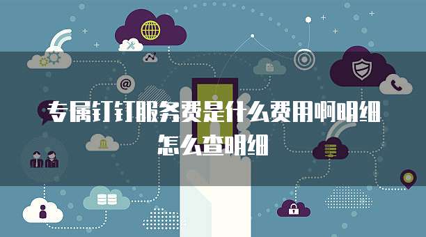 专属钉钉服务费是什么费用啊明细怎么查明细