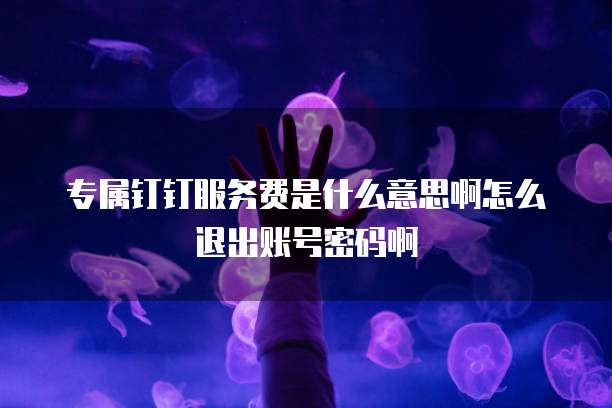 专属钉钉服务费是什么意思啊怎么退出账号密码啊