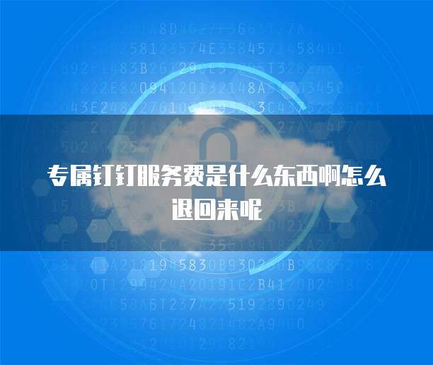 专属钉钉服务费是什么东西啊怎么退回来呢