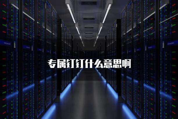 专属钉钉什么意思啊