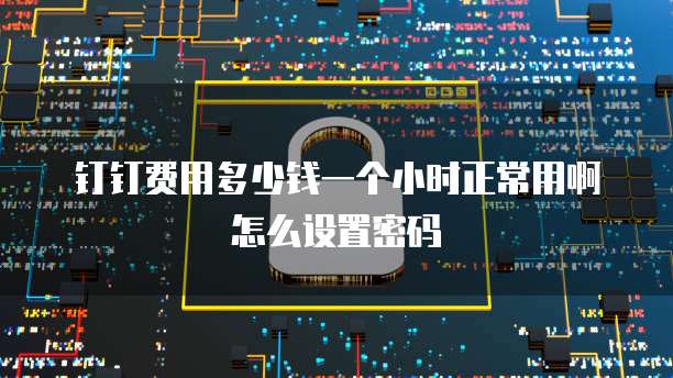 钉钉费用多少钱一个小时正常用啊怎么设置密码