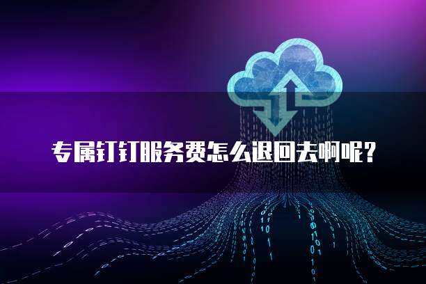 专属钉钉服务费怎么退回去啊呢?