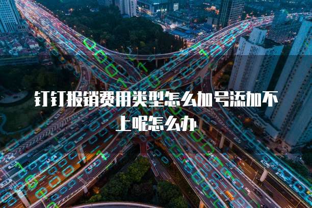 钉钉报销费用类型怎么加号添加不上呢怎么办