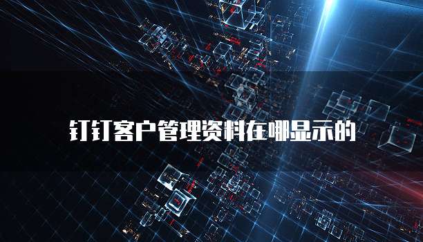 钉钉客户管理资料在哪显示的
