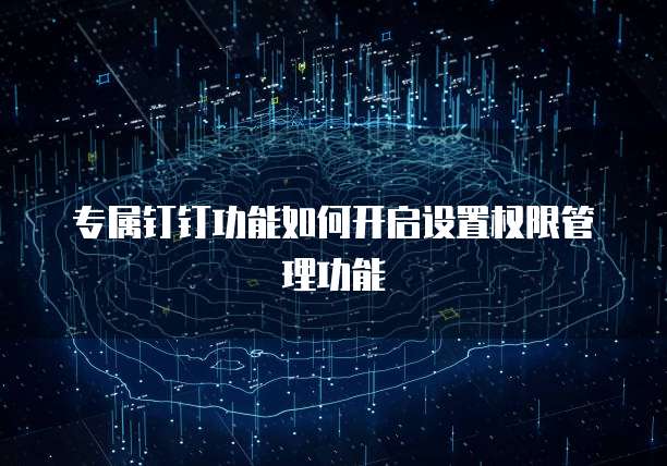 专属钉钉功能如何开启设置权限管理功能