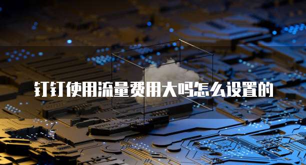钉钉使用流量费用大吗怎么设置的