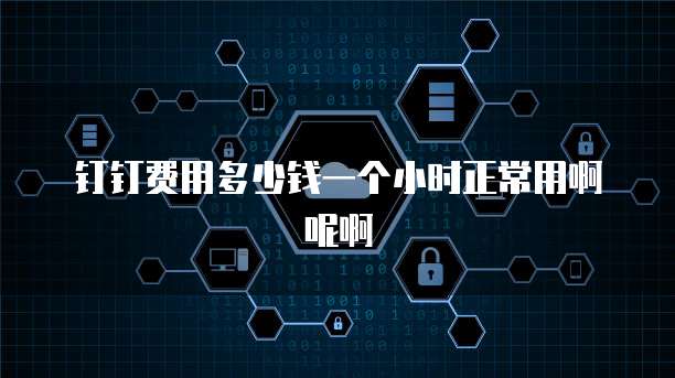 钉钉费用多少钱一个小时正常用啊呢啊