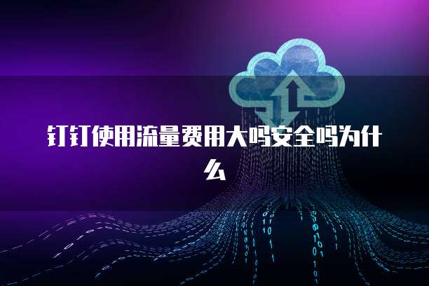 钉钉使用流量费用大吗安全吗为什么