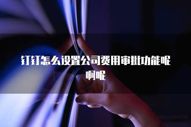 钉钉怎么设置公司费用审批功能呢啊呢