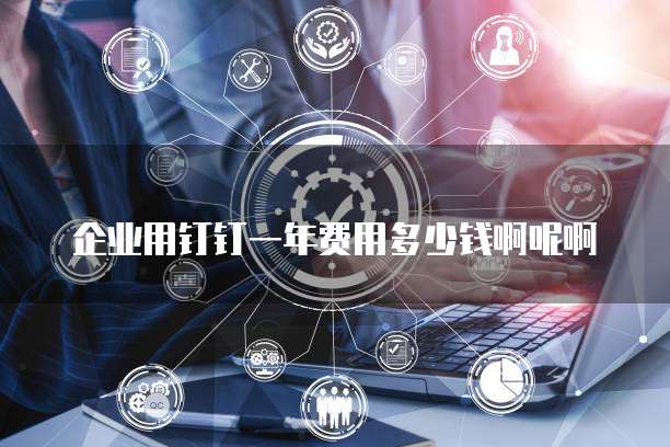 企业用钉钉一年费用多少钱啊呢啊