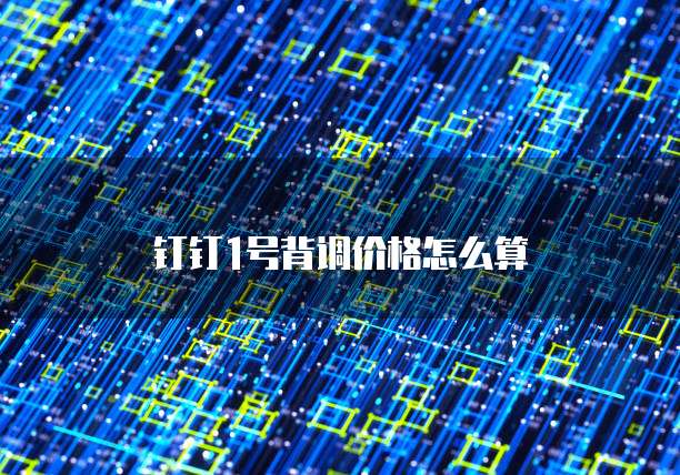 钉钉1号背调价格怎么算
