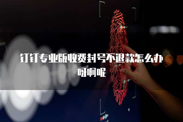钉钉专业版收费封号不退款怎么办呀啊呢