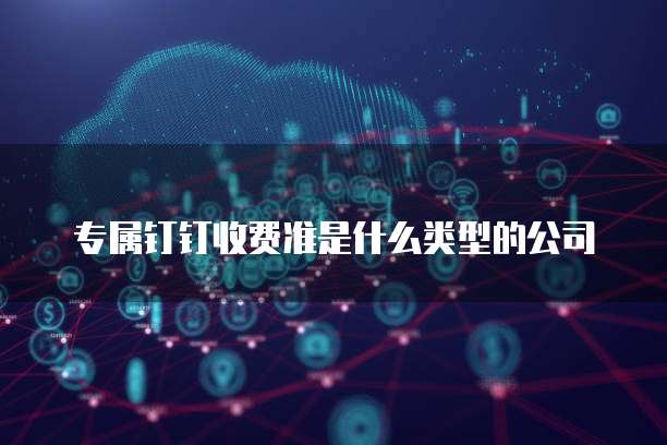 专属钉钉收费准是什么类型的公司