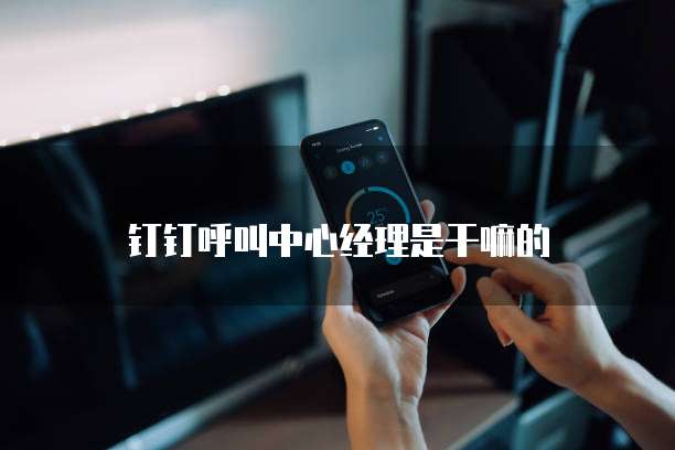 钉钉呼叫中心经理是干嘛的
