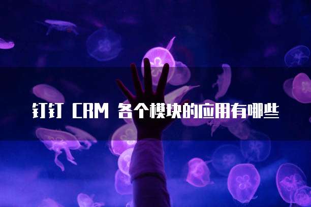 钉钉 CRM 各个模块的应用有哪些