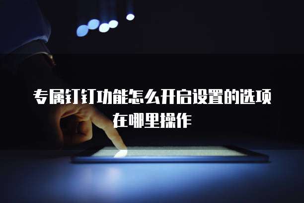 专属钉钉功能怎么开启设置的选项在哪里操作