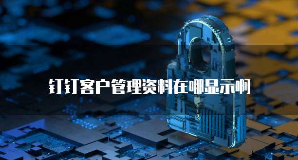 钉钉客户管理资料在哪显示啊