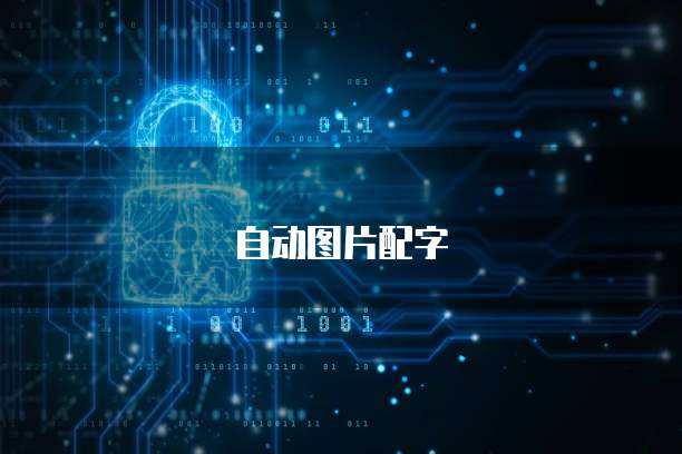钉钉智能财务账号信息查看及设置方法