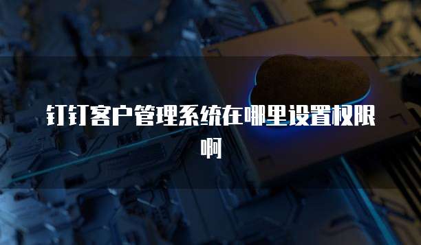 钉钉客户管理系统在哪里设置权限啊