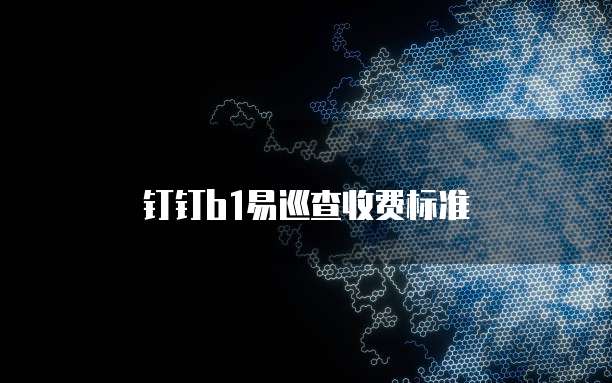 钉钉B1易巡查价格,钉钉B1易巡查收费标准