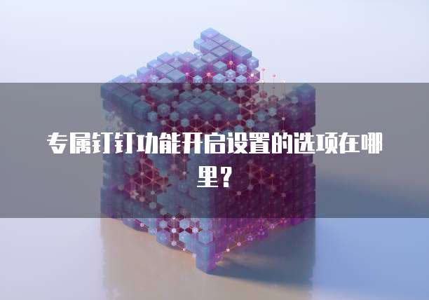 专属钉钉功能开启设置的选项在哪里?