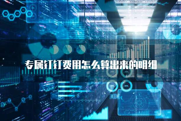 专属钉钉费用怎么算出来的明细