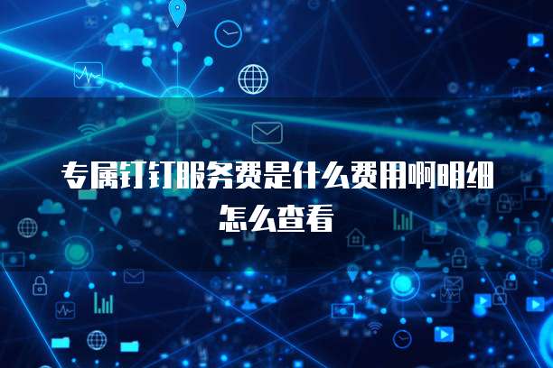 专属钉钉服务费是什么费用啊明细怎么查看