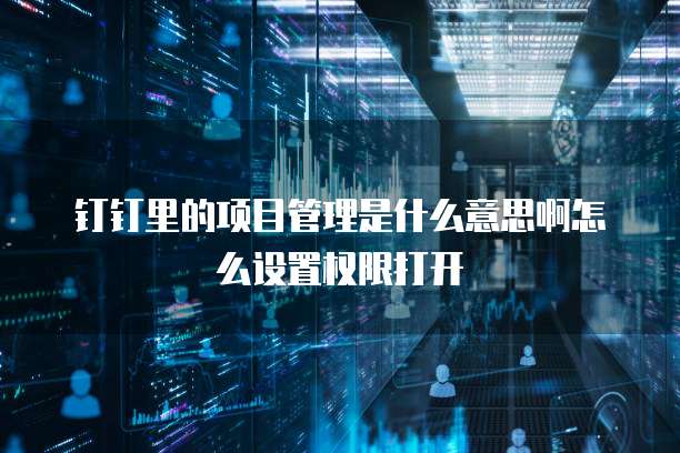 钉钉里的项目管理是什么意思啊怎么设置权限打开