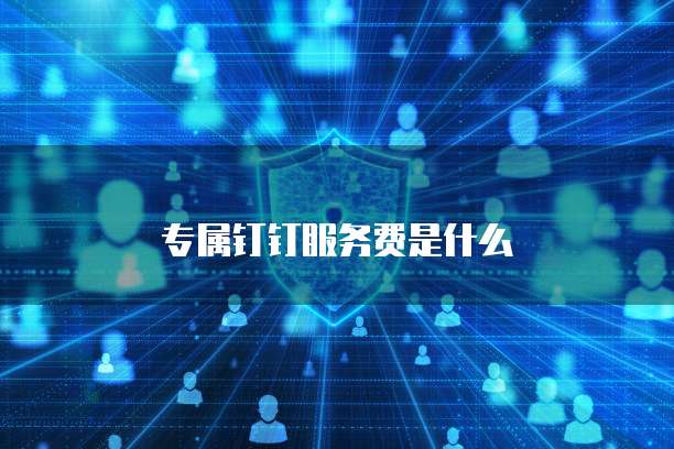 专属钉钉服务费是什么