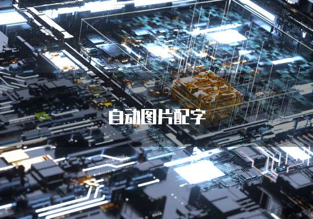 钉钉报餐宝费用怎么算