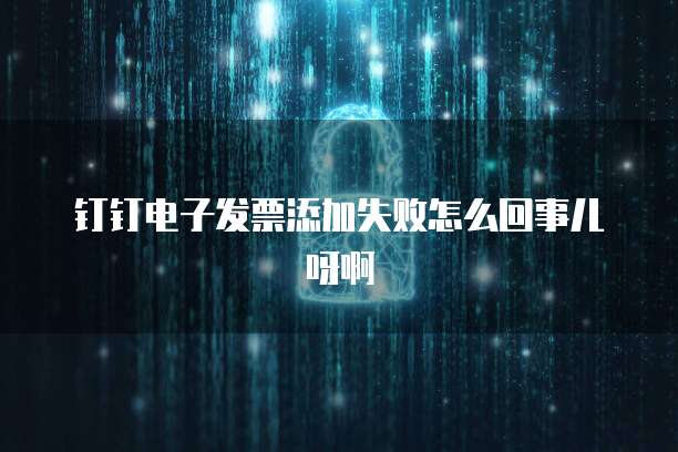 钉钉电子发票添加失败怎么回事儿呀啊