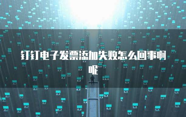 钉钉电子发票添加失败怎么回事啊呢