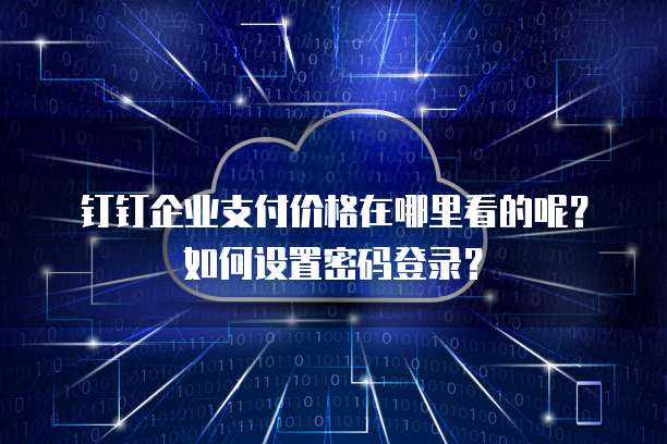 钉钉企业支付价格在哪里看的呢？如何设置密码登录？