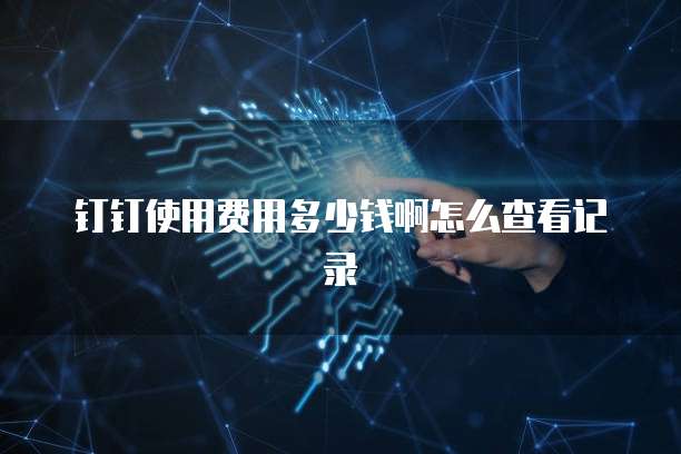 钉钉使用费用多少钱啊怎么查看记录