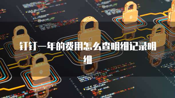 钉钉一年的费用怎么查明细记录明细