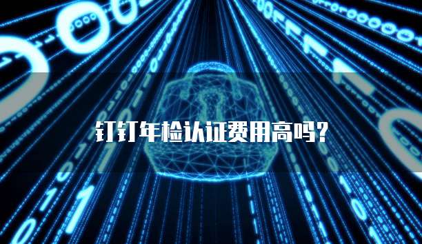 钉钉年检认证费用高吗?