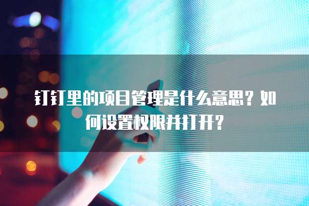 钉钉里的项目管理是什么意思？如何设置权限并打开？