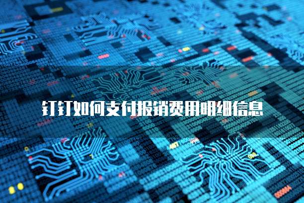 钉钉如何支付报销费用明细信息