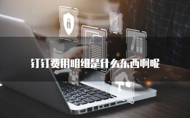 钉钉费用明细是什么东西啊呢