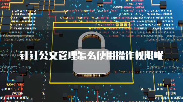 钉钉公文管理怎么使用操作权限呢
