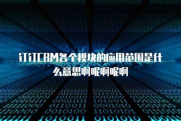 钉钉CRM各个模块的应用范围是什么意思啊呢啊呢啊