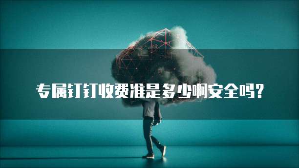 专属钉钉收费准是多少啊安全吗？