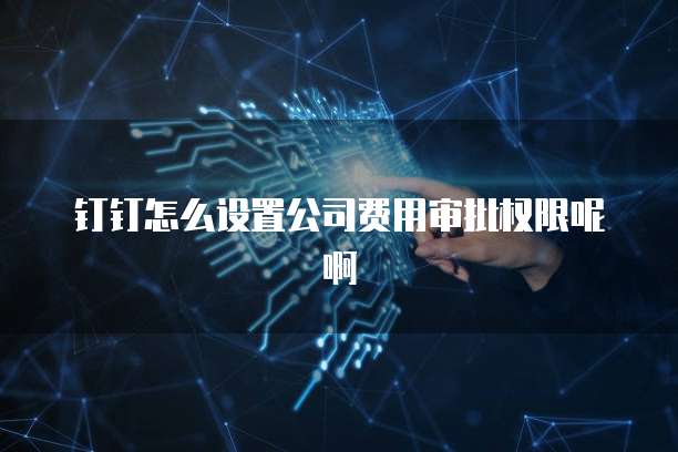 钉钉怎么设置公司费用审批权限呢啊