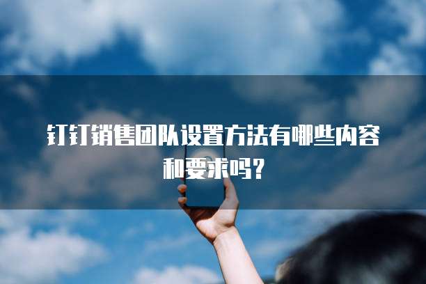 钉钉销售团队设置方法有哪些内容和要求吗?