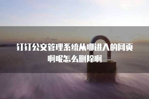 钉钉公文管理系统从哪进入的网页啊呢怎么删除啊