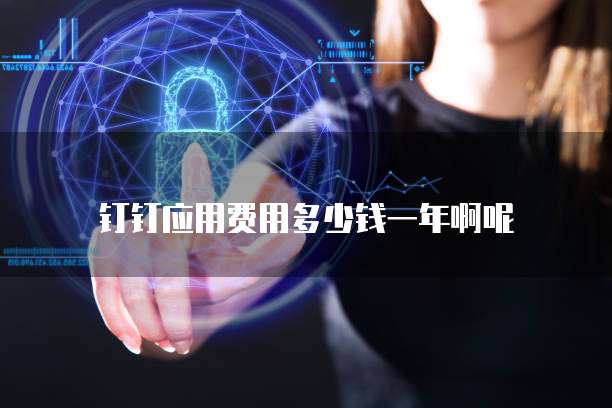 钉钉应用费用多少钱一年啊呢
