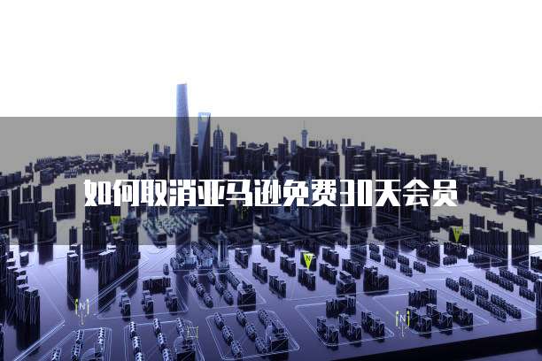 钉钉专业版：购买的必要性与密码设置方法