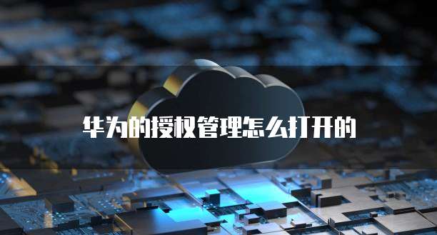 钉钉怎么改成专业版状态模式呢