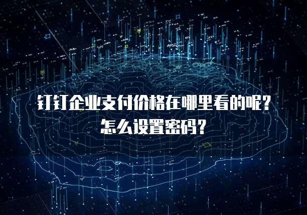 钉钉企业支付价格在哪里看的呢？怎么设置密码？